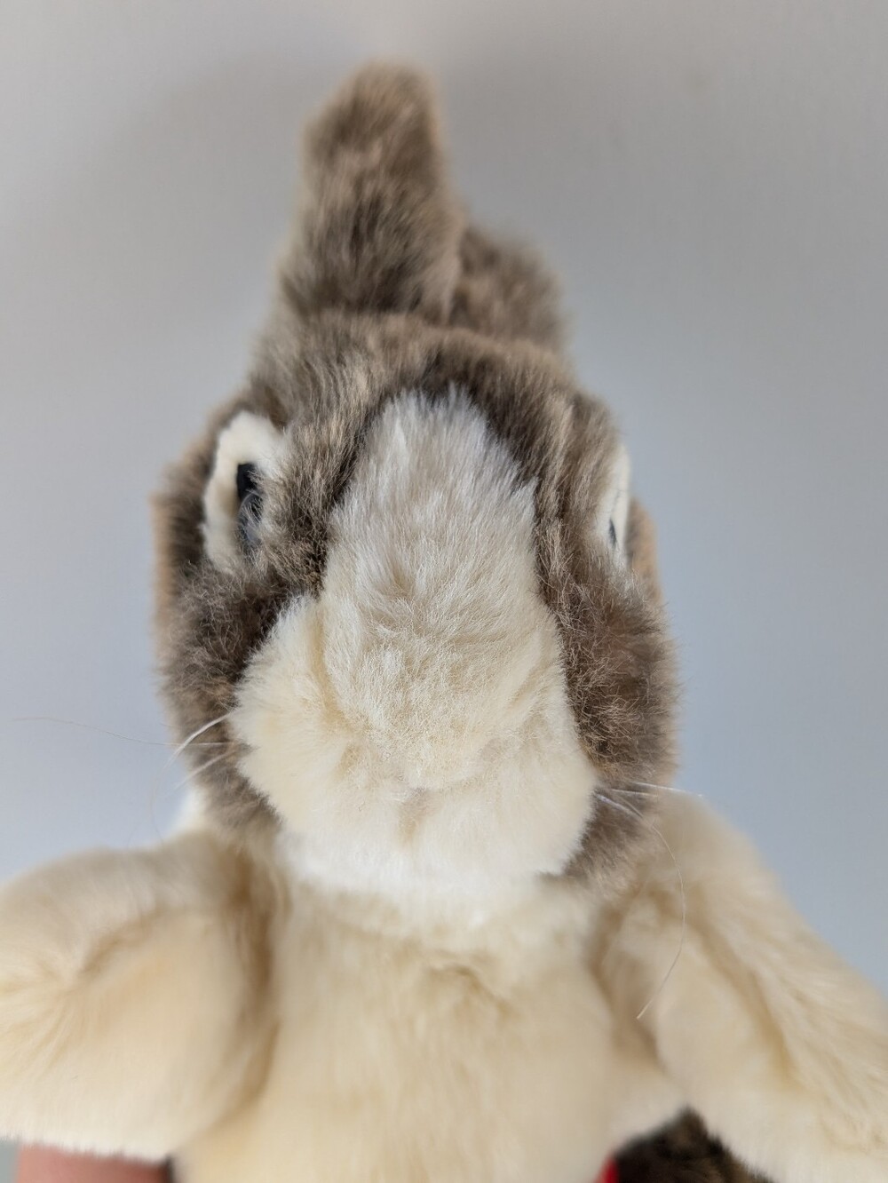 Folkmanis Baby Dutch Rabbit Hand Puppet - Picture 7 of 15
